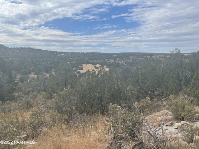 33367 W Hora Cir, Seligman AZ, 86337 land for sale