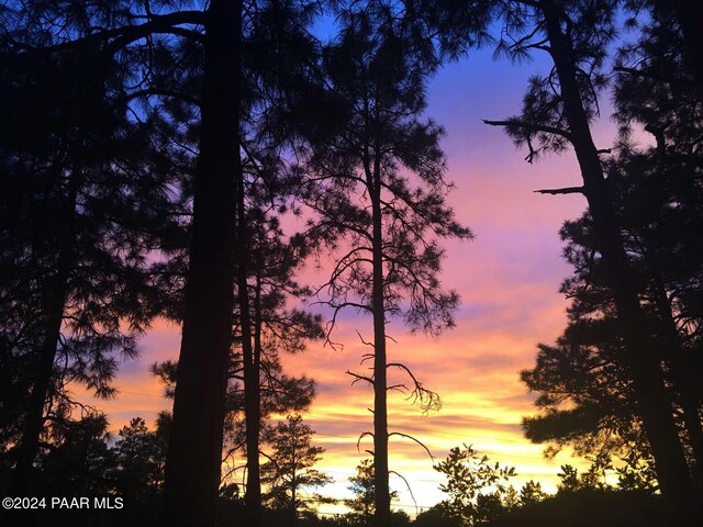 view of nature at dusk