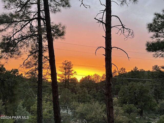 view of nature at dusk