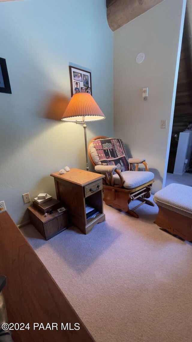 sitting room featuring carpet flooring