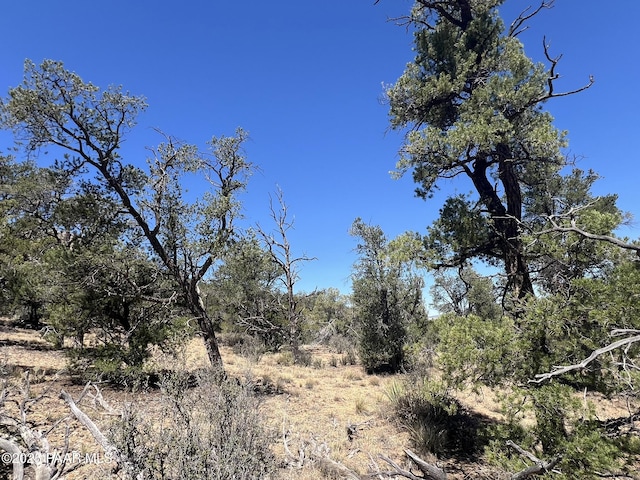 212 Arizona Rd, Ash Fork, AZ 86320 - photo 2