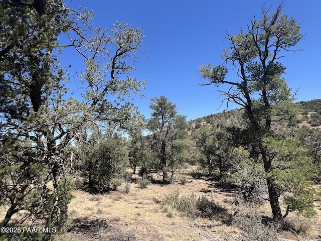 212 Arizona Rd, Ash Fork, AZ 86320 - photo 3