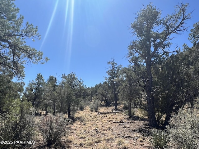 212 Arizona Rd, Ash Fork, AZ 86320 - photo 7