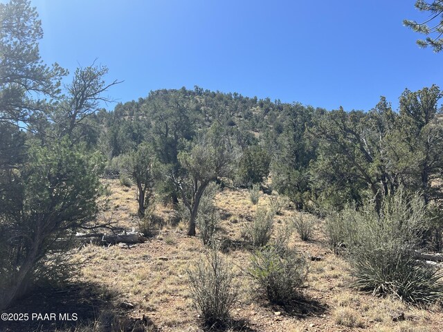 212 Arizona Rd, Ash Fork, AZ 86320 - photo 9
