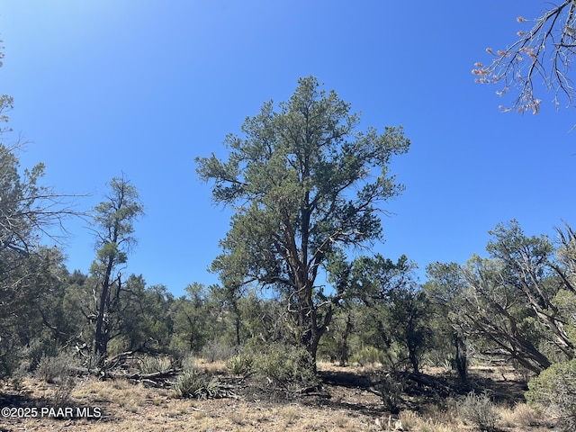 212 Arizona Rd, Ash Fork, AZ 86320 - photo 5