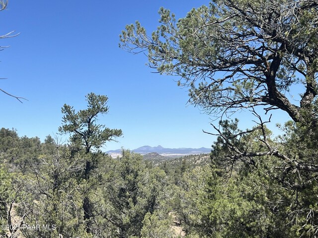 212 Arizona Rd, Ash Fork, AZ 86320 - photo 6