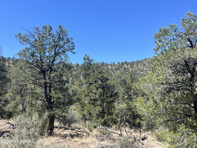 212 Arizona Rd, Ash Fork, AZ 86320 - photo 8