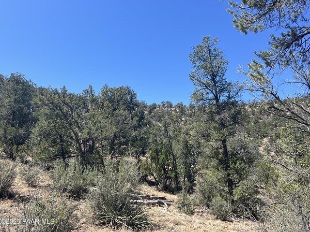 212 Arizona Rd, Ash Fork, AZ 86320 - photo 10