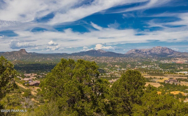 2308 W Mountain Laurel Rd, Prescott, AZ 86303 - mountain view