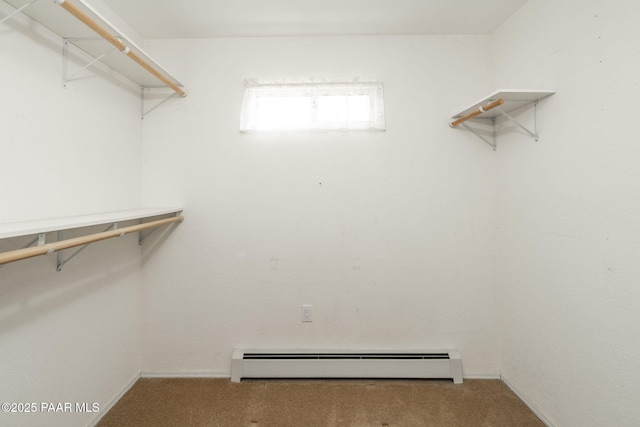 14705 E State Route 169, Dewey-Humboldt, AZ 86327 - walk in closet featuring a baseboard radiator and carpet flooring