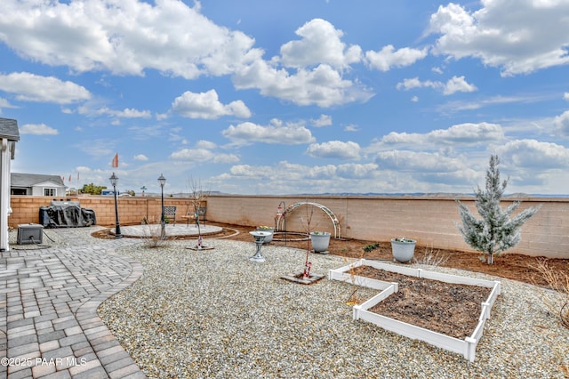 view of yard with a patio area, a vegetable garden, and a fenced backyard