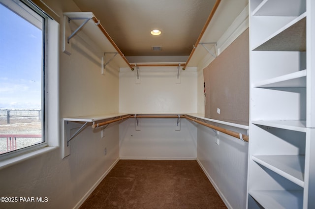 9100 E Lonesome Valley Rd, Prescott Valley, AZ 86315 - spacious closet with dark colored carpet