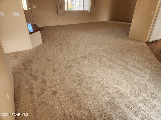 interior space featuring carpet floors