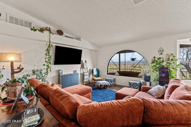 969 S Saguaro Dr, Wickenburg, AZ 85390 - living room featuring lofted ceiling, wood finished floors, a textured ceiling, and plenty of natural light