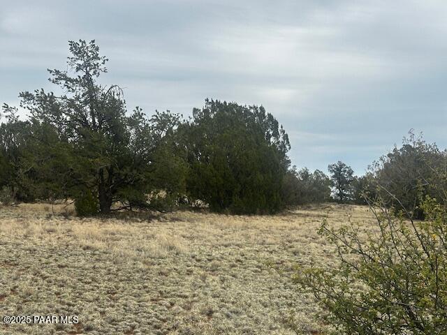 LOT382NW Gable Rd, Seligman, AZ 86337 - photo 6