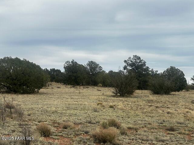 LOT382NW Gable Rd, Seligman, AZ 86337 - photo 7