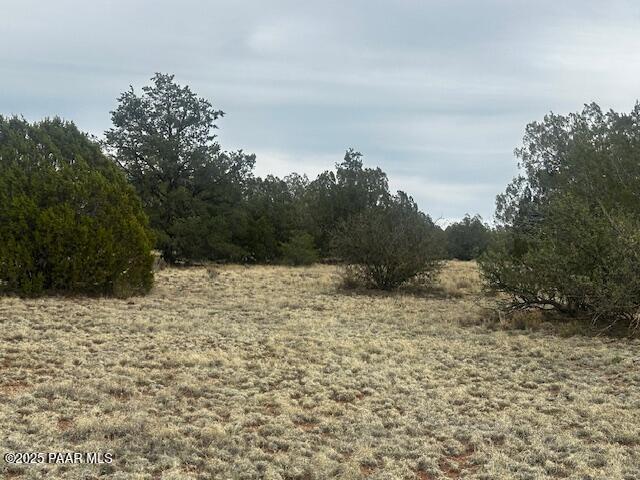 LOT382NW Gable Rd, Seligman, AZ 86337 - photo 5