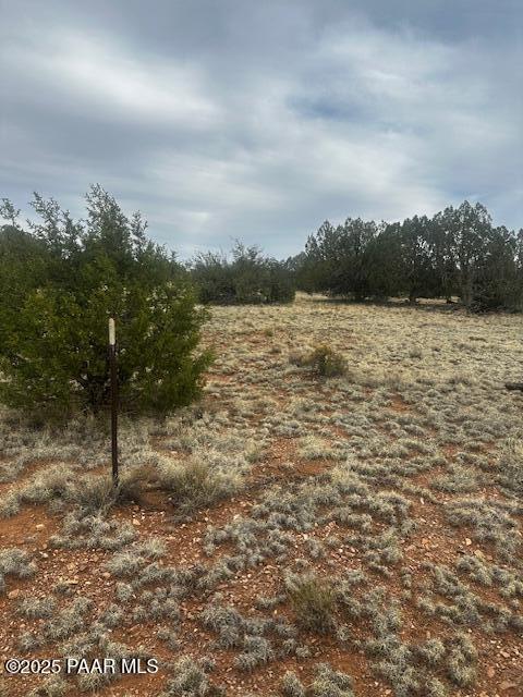 LOT382NW Gable Rd, Seligman, AZ 86337 - photo 2