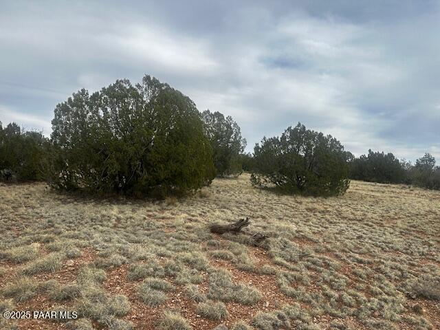 LOT382NW Gable Rd, Seligman, AZ 86337 - photo 3