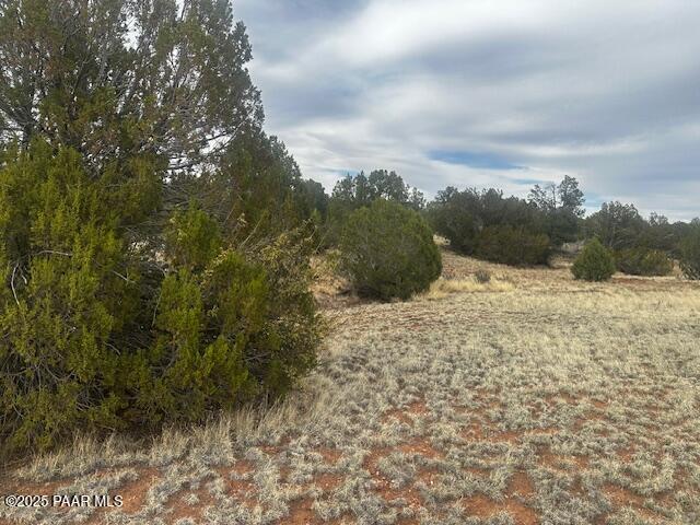 LOT382NW Gable Rd, Seligman, AZ 86337 - photo 1