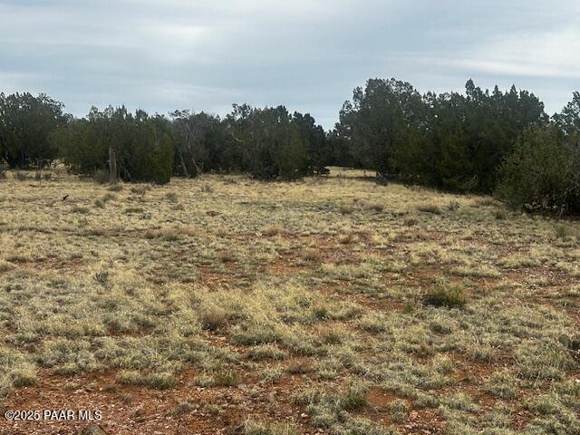LOT382NW Gable Rd, Seligman, AZ 86337 - photo 4