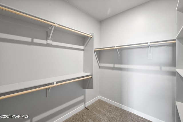spacious closet with carpet flooring
