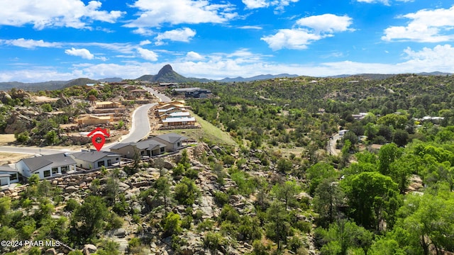 bird's eye view with a mountain view