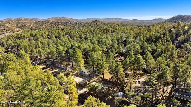 aerial view with a mountain view