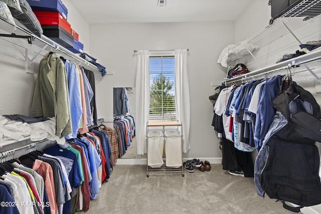 5109 Porter Creek Dr, Prescott, AZ 86301 - spacious closet featuring carpet flooring