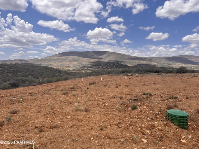 1100 S Iron Springs Rd, Skull Valley, AZ 86338 - photo 22