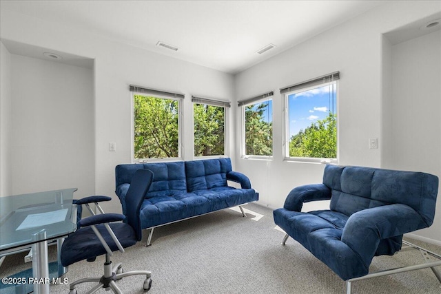 1369 Sierry Peaks Dr, Prescott, AZ 86305 - office space featuring carpet flooring