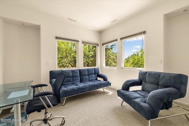 1369 Sierry Peaks Dr, Prescott, AZ 86305 - office featuring carpet flooring