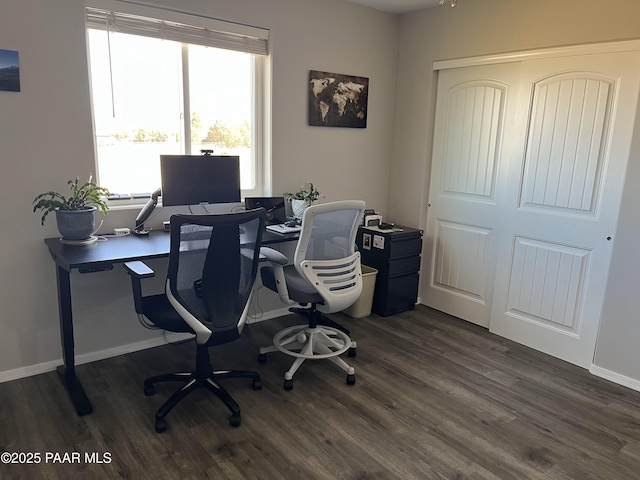 office area featuring dark hardwood / wood-style flooring