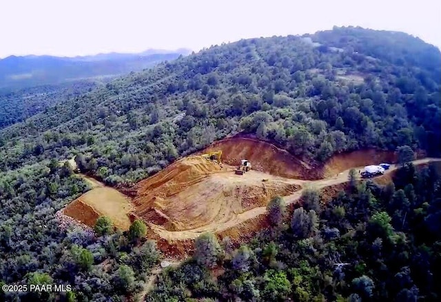 bird's eye view with a mountain view