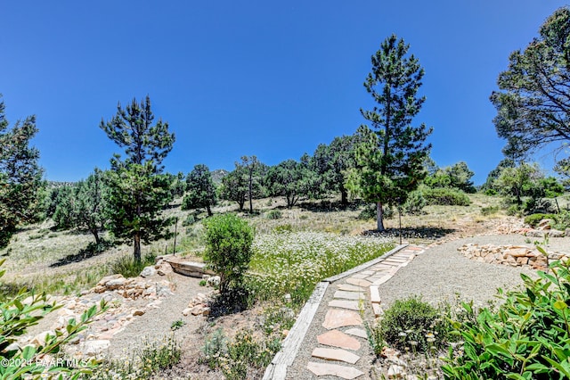 1301 S Manzanita Hill Rd, Prescott, AZ 86303 - view of yard