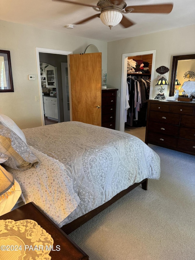 carpeted bedroom with ceiling fan, a walk in closet, and a closet