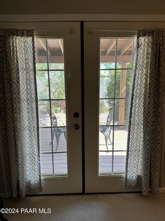 doorway featuring carpet floors and a wealth of natural light