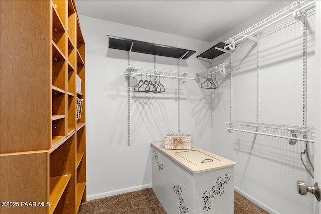 122 N Willow St, Prescott, AZ 86305 - spacious closet with carpet floors