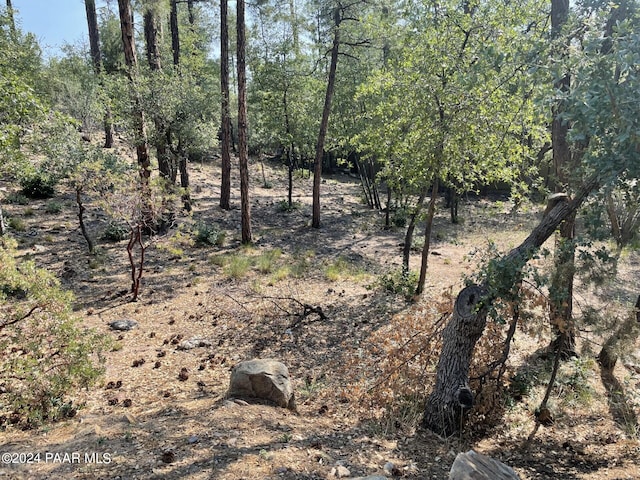 1180 W Timber Ridge Rd, Prescott, AZ 86303