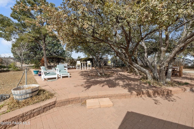 view of yard featuring a patio area