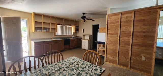 kitchen featuring ceiling fan, sink, and light carpet