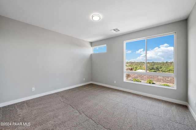 spare room featuring carpet floors