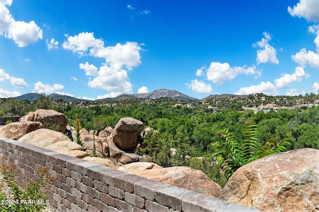 property view of mountains