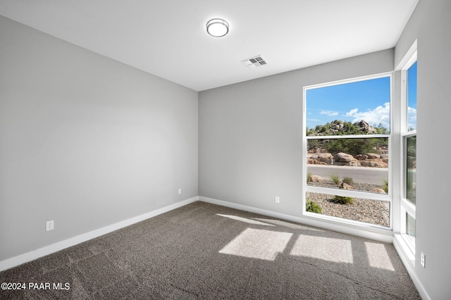 carpeted spare room with plenty of natural light