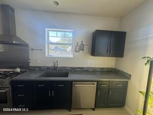 kitchen featuring sink, wall chimney range hood, and appliances with stainless steel finishes