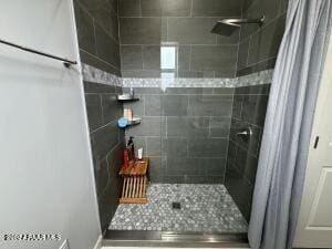 bathroom with a shower with shower curtain