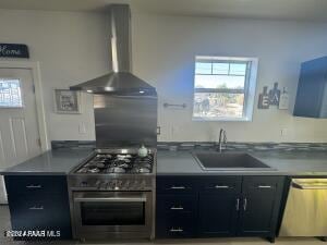 kitchen featuring wall chimney range hood, sink, and appliances with stainless steel finishes