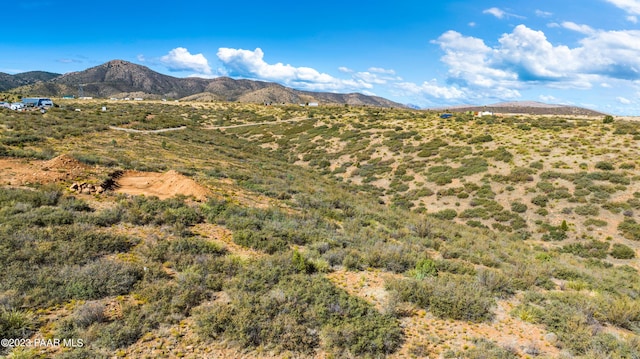 18 E Wolf Rd, Dewey-Humboldt, AZ 86327 - photo 8