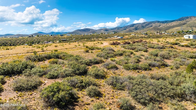 18 E Wolf Rd, Dewey-Humboldt, AZ 86327 - photo 10