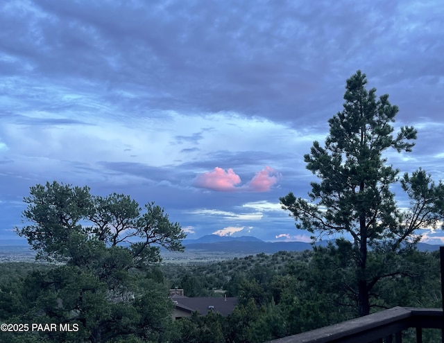 28555 N Feather Mountain Rd, Paulden, AZ 86334 - mountain view with a forest